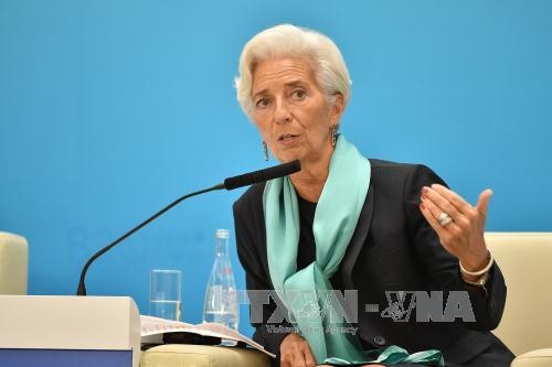 IMF: Global debt breaks record - ảnh 1